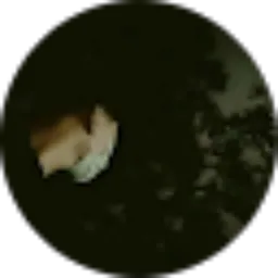 Review From Muhammad Zaki