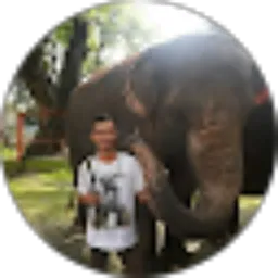 Review From Agung Prabowo