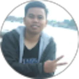 Review From alpianor