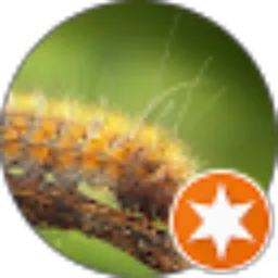 Review From Ika Safado