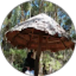 Review From mariam ulfah