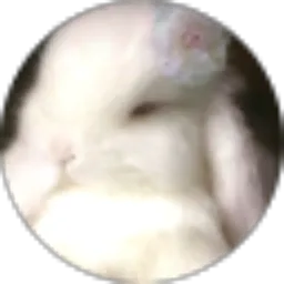 Review From Lidia Nopitasari