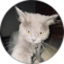 Review From Arvin Dalipang