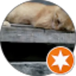 Review From Simbok Lala