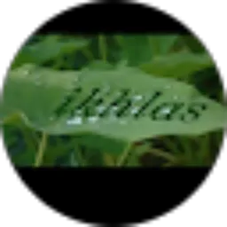 Review From anamination channel