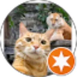 Review From Indah Ilmiyati