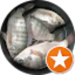 Review From kuli proyek Doank