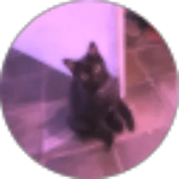 Review From Rinaldy Alfi