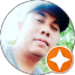 Review From Meidi Efendi