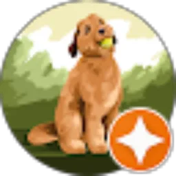 Review From Putra Joko