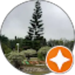 Review From Syahril Matondang