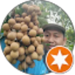 Review From Budiman Rahmad