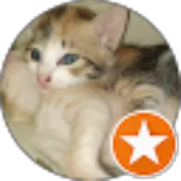 Review From Honezt Orphan