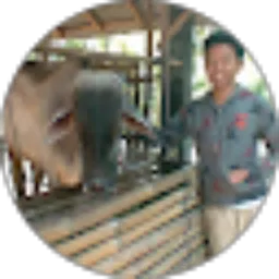 Review From Ridwan Aprianto