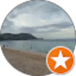 Review From Martinus Febrian