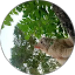 Review From Mega Hemaswari