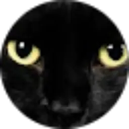 Review From Tiara Farina