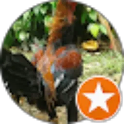 Review From Acong Hasan