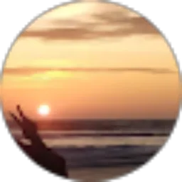 Review From Ulva Pricilia