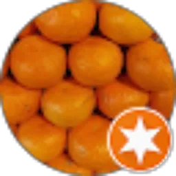 Review From argan sabban