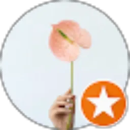 Review From Putri Sigiro