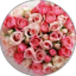 Review From Dias Bernita Aulina