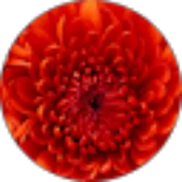 Review From Airin Setiawan