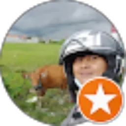 Review From Den Inul