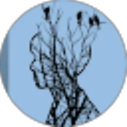 Review From Acew ardian