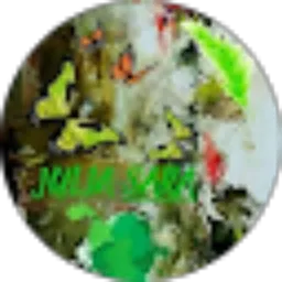 Review From julia sara