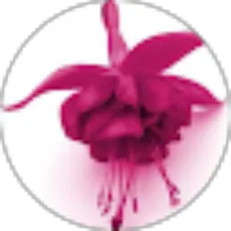 Review From justme mine