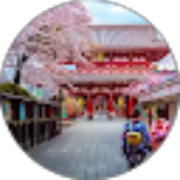 Review From apriyani dwi ningrum