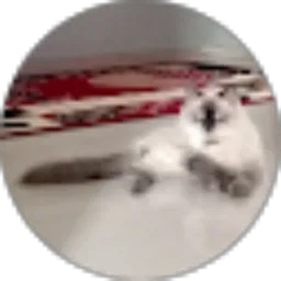 Review From Nindi Haqi