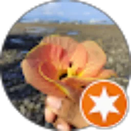 Review From Philipus Riberu