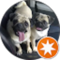 Review From Theodorus G