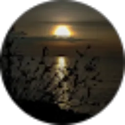 Review From Muh. Syaiful Dermawan