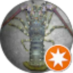 Review From Varian Fahmi