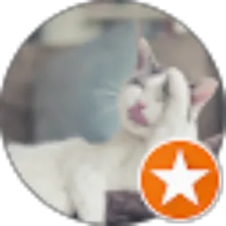 Review From saidah tyani