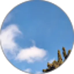 Review From Taokhit Raharjo