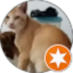 Review From DADDY KITTEN