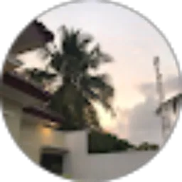 Review From fiska prima