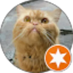 Review From Edi Koiman