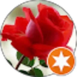 Review From Ibu Fathul Binti J. Sunaryo