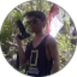 Review From ardy net