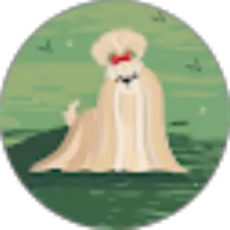 Review From Ancak 07