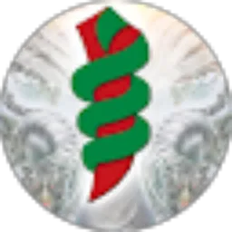 Review From Dede Kurniawan