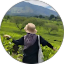 Review From dwi haslinda