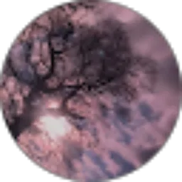 Review From Vicky Joy