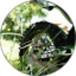 Review From Wiratmoko