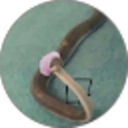 Review From Eren Yeager